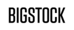 Logo Bigstock