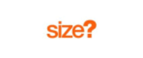 Logo Size